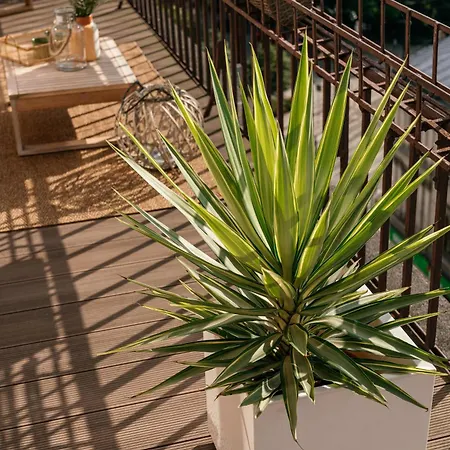 公寓 Penthouse Panorama - Loftaffair *